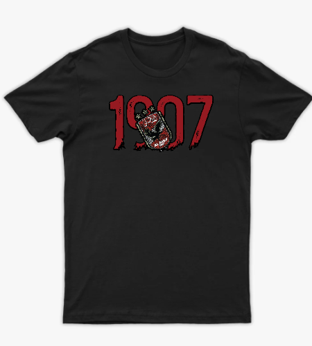 تيشرت "الأهلي 1907 - نسر التاريخ" | ملابس كورة كاجوال ستريت وير جرافيك - أمامي
